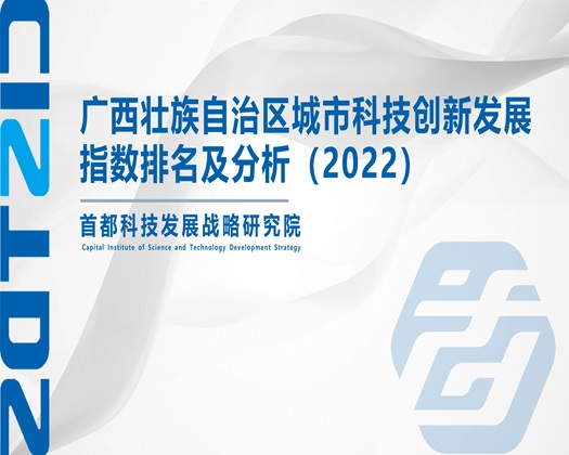 美女啊啊啊啊啊艹【成果发布】广西壮族自治区城市科技创新发展指数排名及分析（2022）